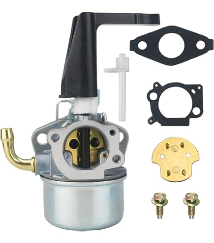 けです Amazon.com : Briggs & Stratton 790905 Choke Shaft Kit