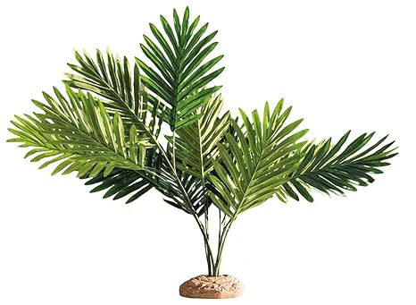 Hobby 37001 Palm/Palme