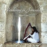 Wandering in Jerusalem by Vicenta Cobo Heras