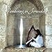 Wandering in Jerusalem by Vicenta Cobo Heras