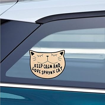 calm cat in car