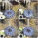 Solar Fountain for Bird Bath, FEELLE Solar Fountain Pump Floating Water Fountain for Birdbath, Pond, Pool, Garden
