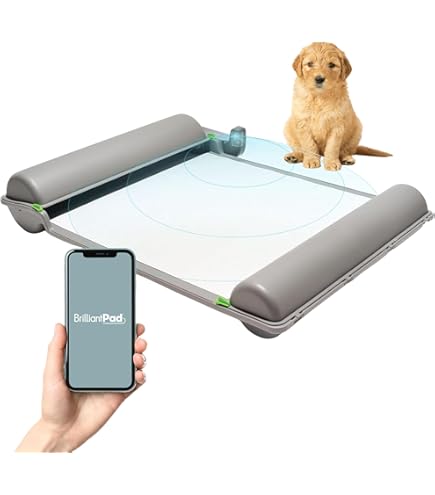 Brilliant Pad(新品、未使用品) Brilliant Pad(新品、未使用品)