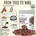 Cacao Nibs Naturally Sweetened with Yacon Syrup - Caffeine-Free Zero Sugar Keto Paleo and Vegan Friendly - Criollo Raw Cocoa Chocolate Nutritional Protein Snack - USDA Organic 8oz by Alovitox (4 Pack)