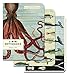 Cavallini Papers & Co., Inc. Sea Life Mini Notebooks 4 x 5.5