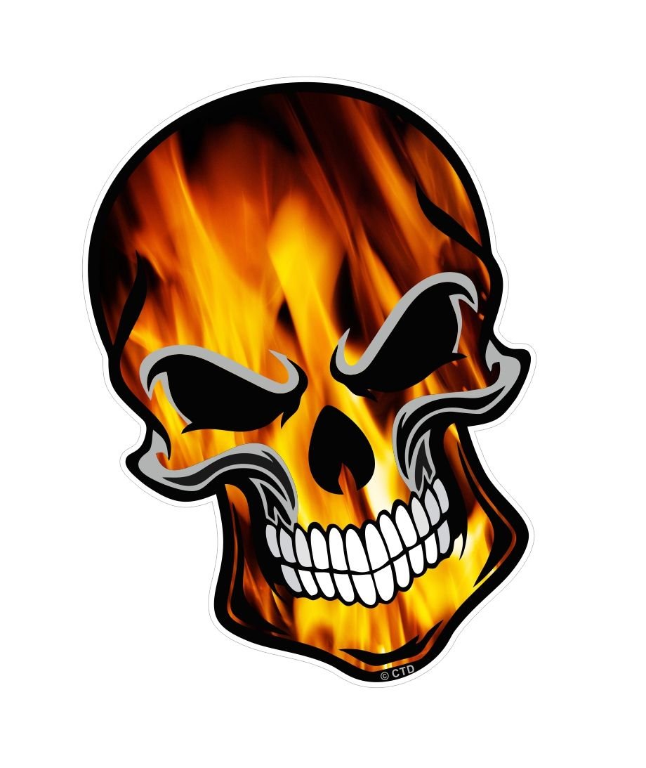 Amazon.com: Gothic Biker Flames Skull Vinyl Sticker: Automotive