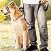 pedy Dog Leash, Double Handle Leash - Heavy Duty Two Handle Dog Leash - Dog Training Walking Leashes