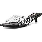 Shoe'N Tale Clear Heels for Women Kitten Low Heel Slides Sandals Round Open Toe Mesh Slip-On Mules