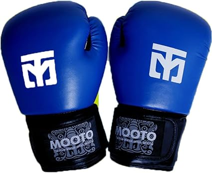 extendo boxing glove