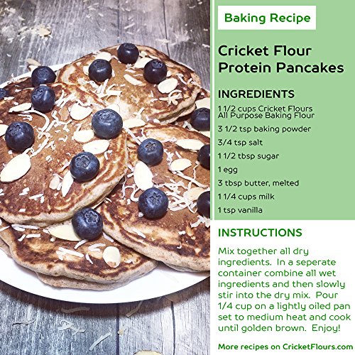 Cricket Flour All Purpose Baking Flour 12oz (Blended Mix) Made in