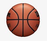 Wilson Evolution Basketball EMEA Brown 6 Unisex Evo Microfiber Composite view 2