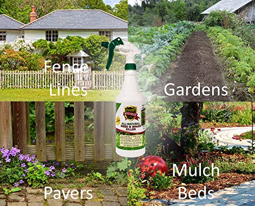 Natural Armor Weed and Grass Killer All-Natural Concentrated Formula. Contains No Glyphosate (32-Ounce Quart) - Thumbnail 6