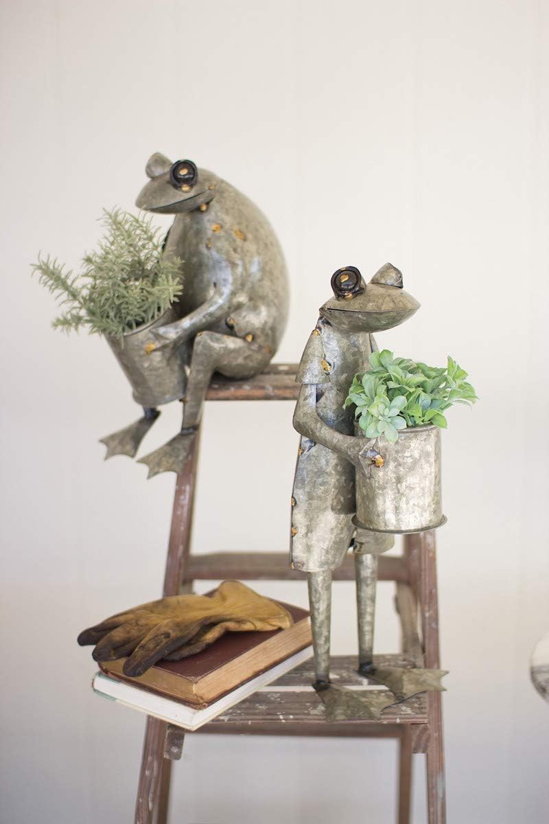 Amazon Com Kalalou Set Of Two Galvanized Frog Planters Furniture Decor