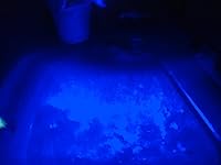 Review Image by jaiquan frazier jaiquan frazier