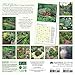 Herb Gardens 2018 Wall Calendar: Recipes & Herbal Folklore