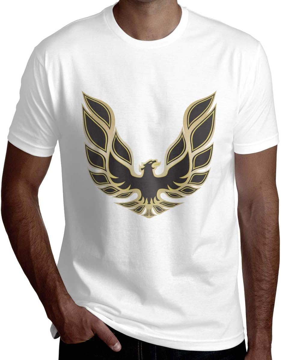 boston acoustics pro 60