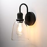 JIMUBEAM 1-Light Vintage Gooseneck Wall Sconce Lamp with Cloche Clear Glass Shade, Industrial Indoor Wall Light Fixture for B