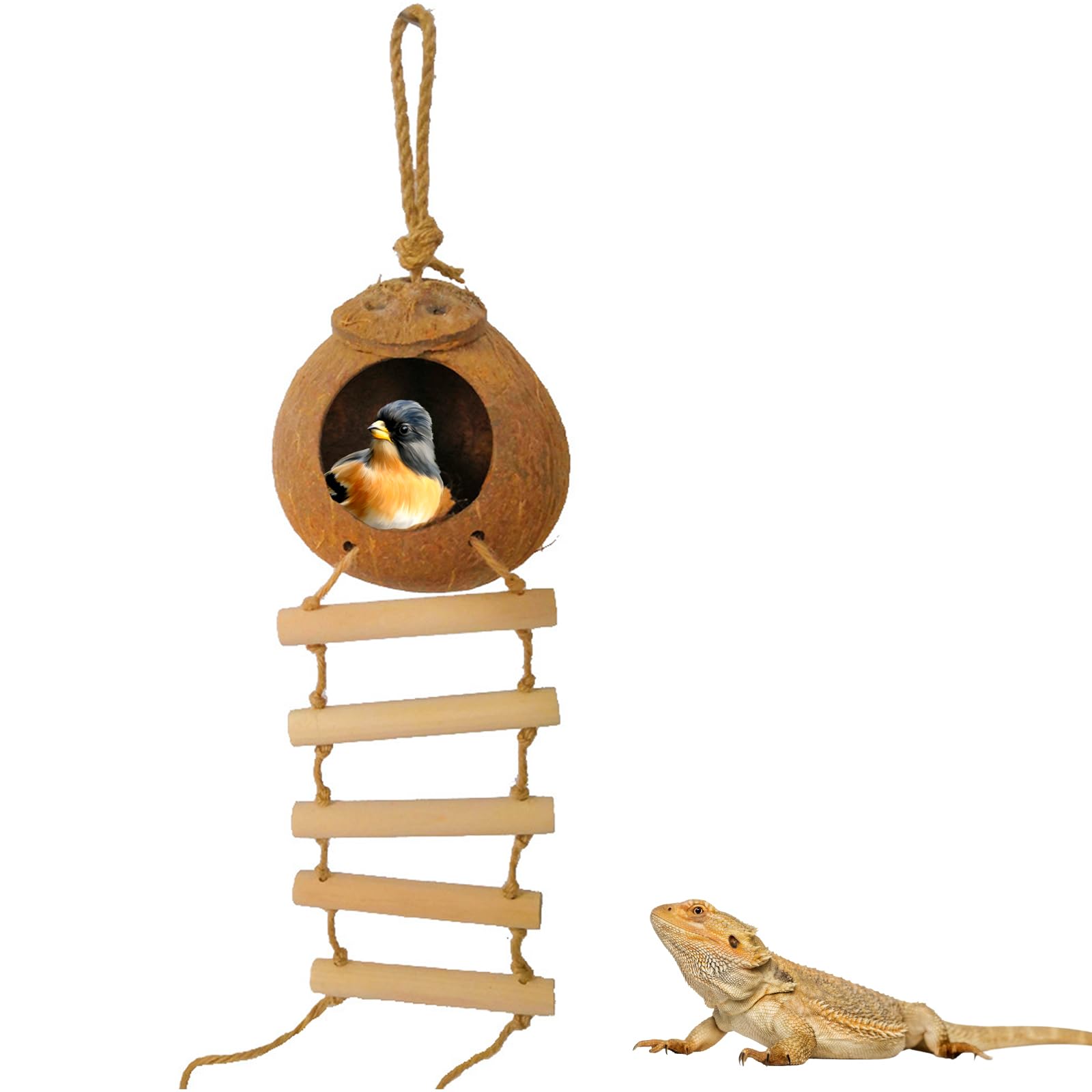 Aobuviou Gecko Coconut Husk Hut With Ladder - Natural Reptile Hideouts, Bird Nest Shell Hide for Small Animals