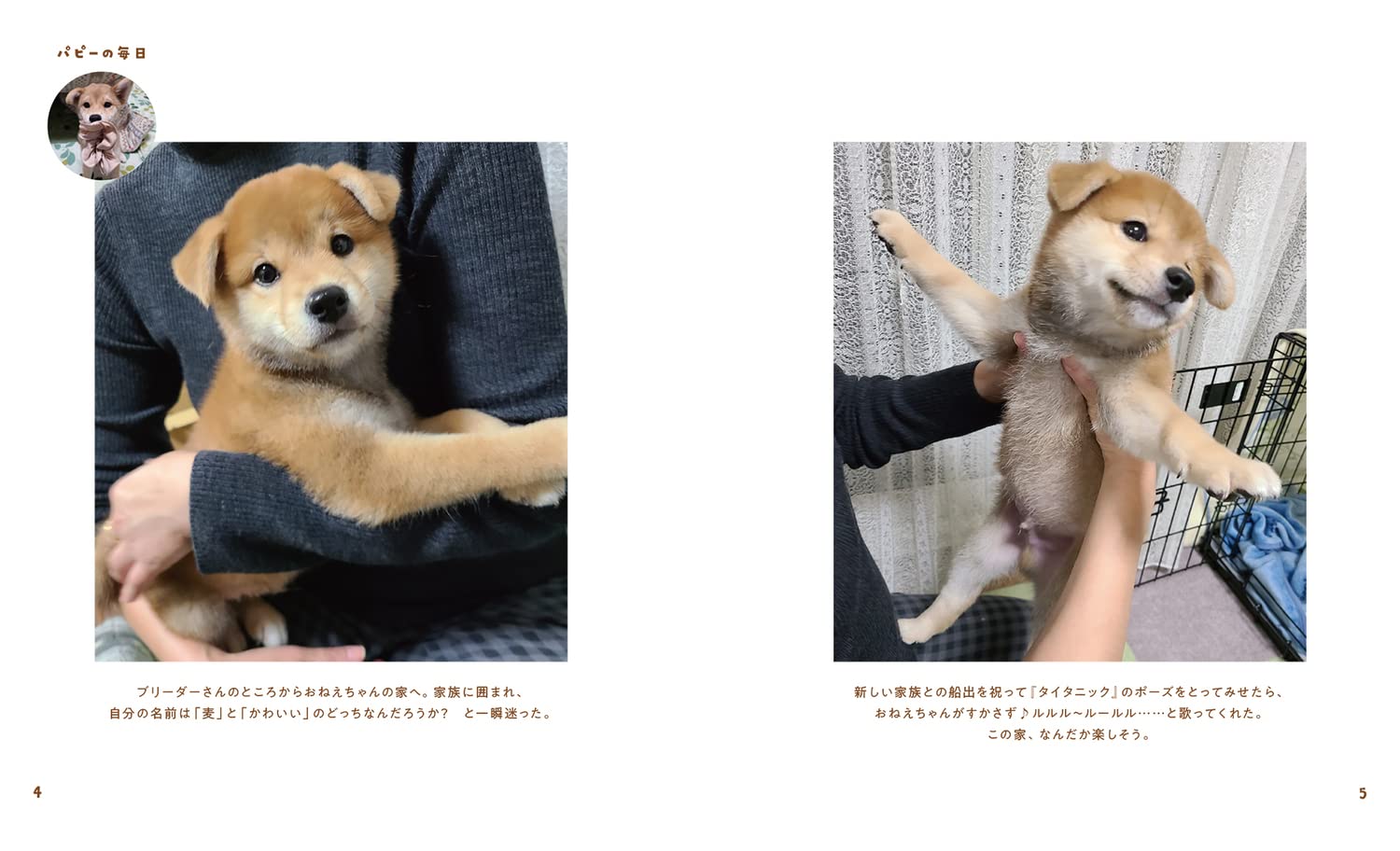柴犬麦くんの毎日 麦ぬし 本 通販 Amazon 柴犬麦くんの毎日 麦ぬし 本 通販 Amazon