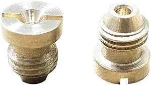 Bueyfolt 1.1 mm Foam Cannon Orifice Nozzle Tips, Universal Thread Tips for Snow Foam Lance, 3000 PSI, 2-Pack