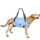 Coodeo Dog Lift Harness, Pet Support & Rehabilitation Sling Lift Adjustable Padded Breathable Straps for Old, Disabled, Joint Injuries, Arthritis, Loss of Stability Dogs Walk (Blue, L)