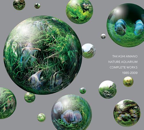 Nature Aquarium World: How You Can Make A Most Beautiful Aquarium