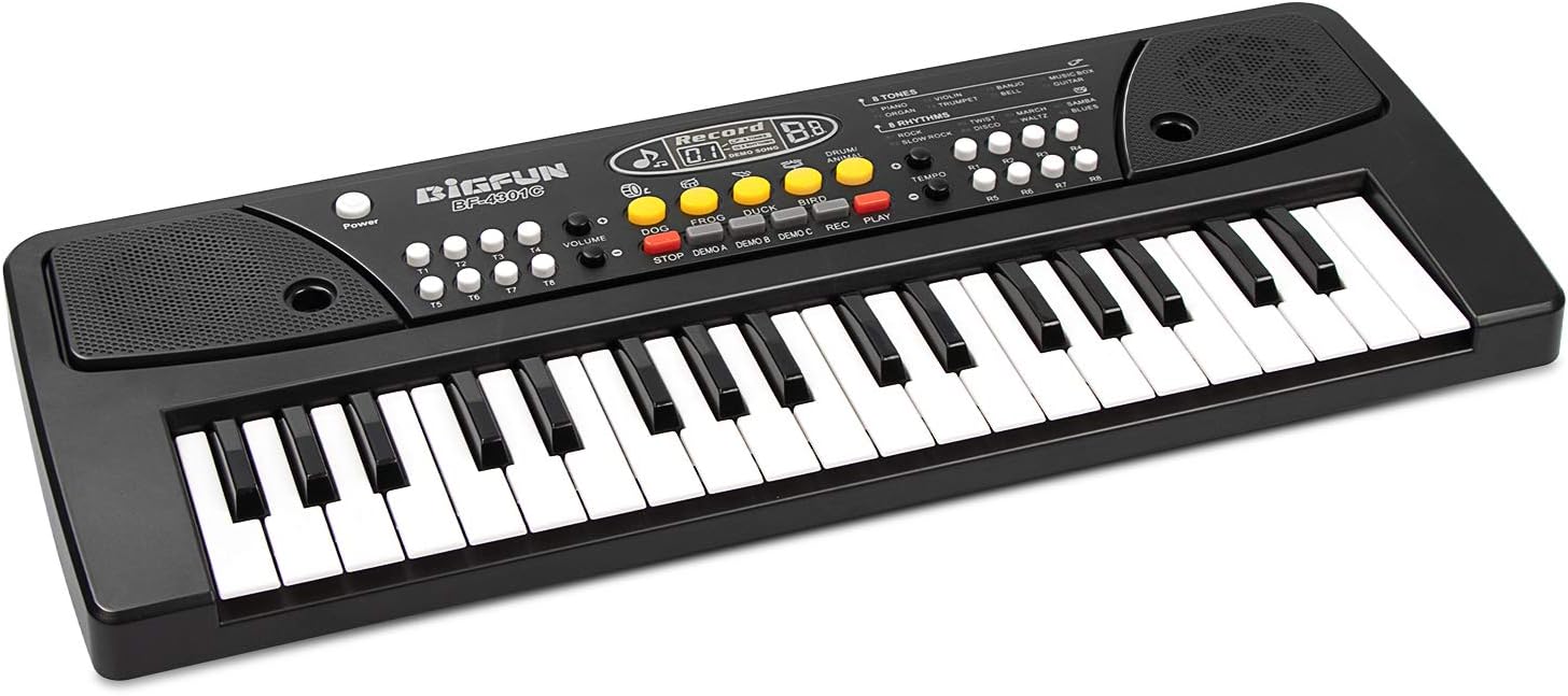 aPerfectLife Chargable Kids Piano 37 Keys Multi-Function Charging Electronic Kids Keyboard Piano for Kids with Microphone (Black)