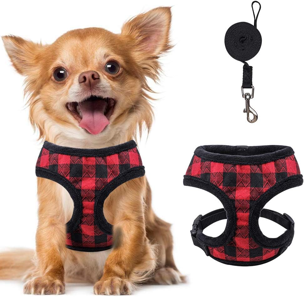 PAWCHIE Small Dog Harness and Leash Set 