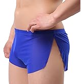 Evankin Men's Sexy Boxer Briefs Ultra-Thin Mesh Underwear Breathable Low Rise Arrow Short Pants