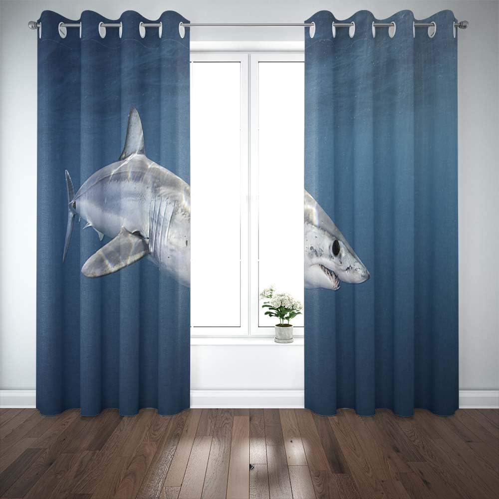 Shorping Window Curtains, Window Panels Sliding Blackout Curtains Shark Swimming Near The Surface in Blue Water Past Western South Africa 50 Kms Country Shower Curtain for Bedroom 52X63 Inches,2 Pc