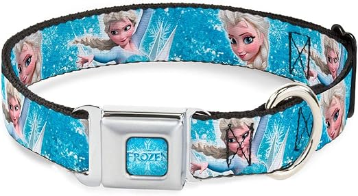 animal house pet styling