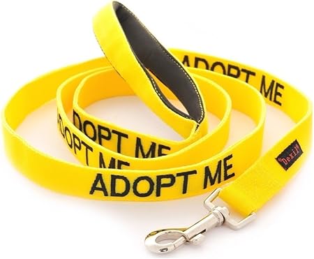 Adopt me leash Clearance