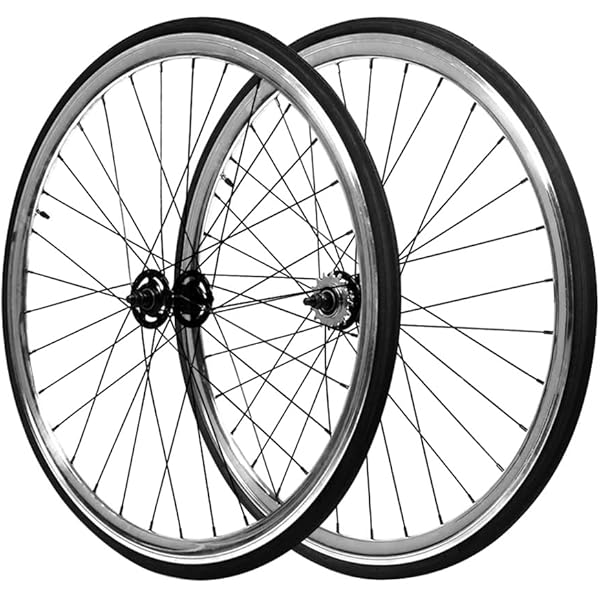Freestyle Bmx 144-Spoke Lowrider Coaster Wheel 20
