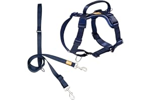 DF Freedom No Pull Martingale Dog Harness and Leash Set, Front Clip Adjustable Harness with Reflective & Padded Handle, Easy Walking & Training, Navy Blue, 1", Chest 24.4" - 32.4"