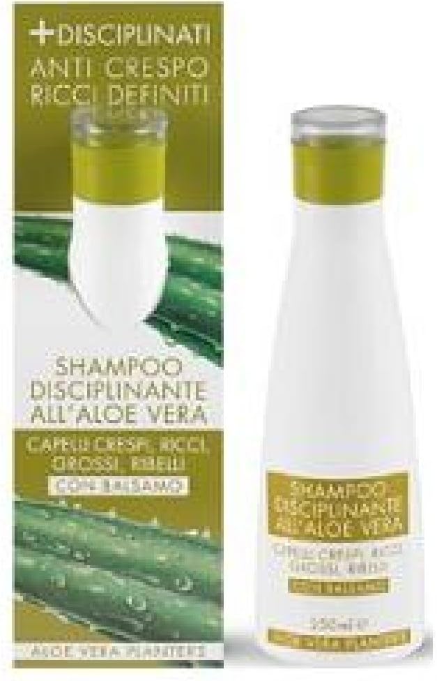 Disciplining Shampoo