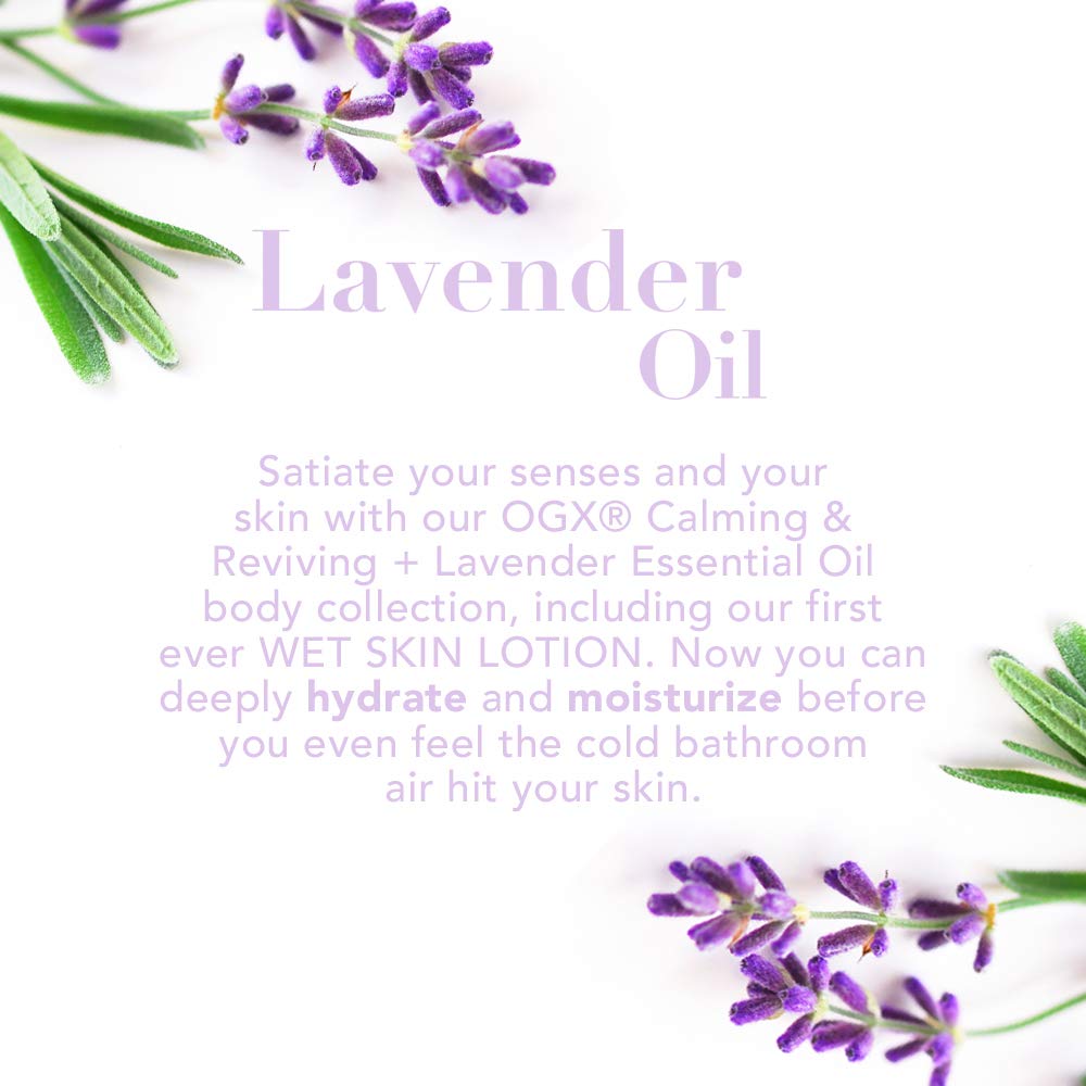 OGX Calming & Reviving + Lavender Essential Oil Body Wash, 19.5 Ounces: Beauty