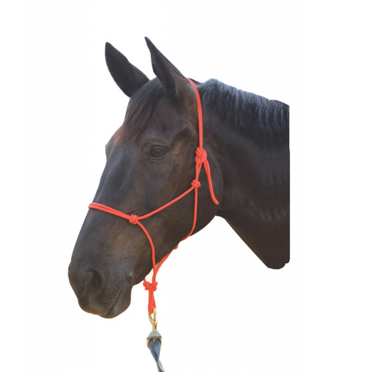 Roma Nylon Rope Halter Green Cob Halters & Leads Halters kmotors.co.th