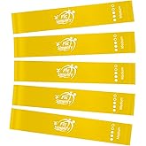 Sylphim Resistance Loop Bands Set Of 5 - Exercise Bands With Guide & Carry Bag For Home Workouts