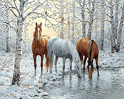 Paaaning Colts Dans La Peinture D Hiver Par Chiffres Chevaux Zebre Chat Cheval Peinture Dessin Par Chiffres Sans Cadre Maison Decoration Murale Illustrations Amazon Fr Cuisine Maison Paaaning Colts Dans La Peinture D Hiver Par Chiffres Chevaux Zebre Chat Cheval Peinture Dessin Par Chiffres Sans Cadre Maison Decoration Murale Illustrations Amazon Fr Cuisine Maison