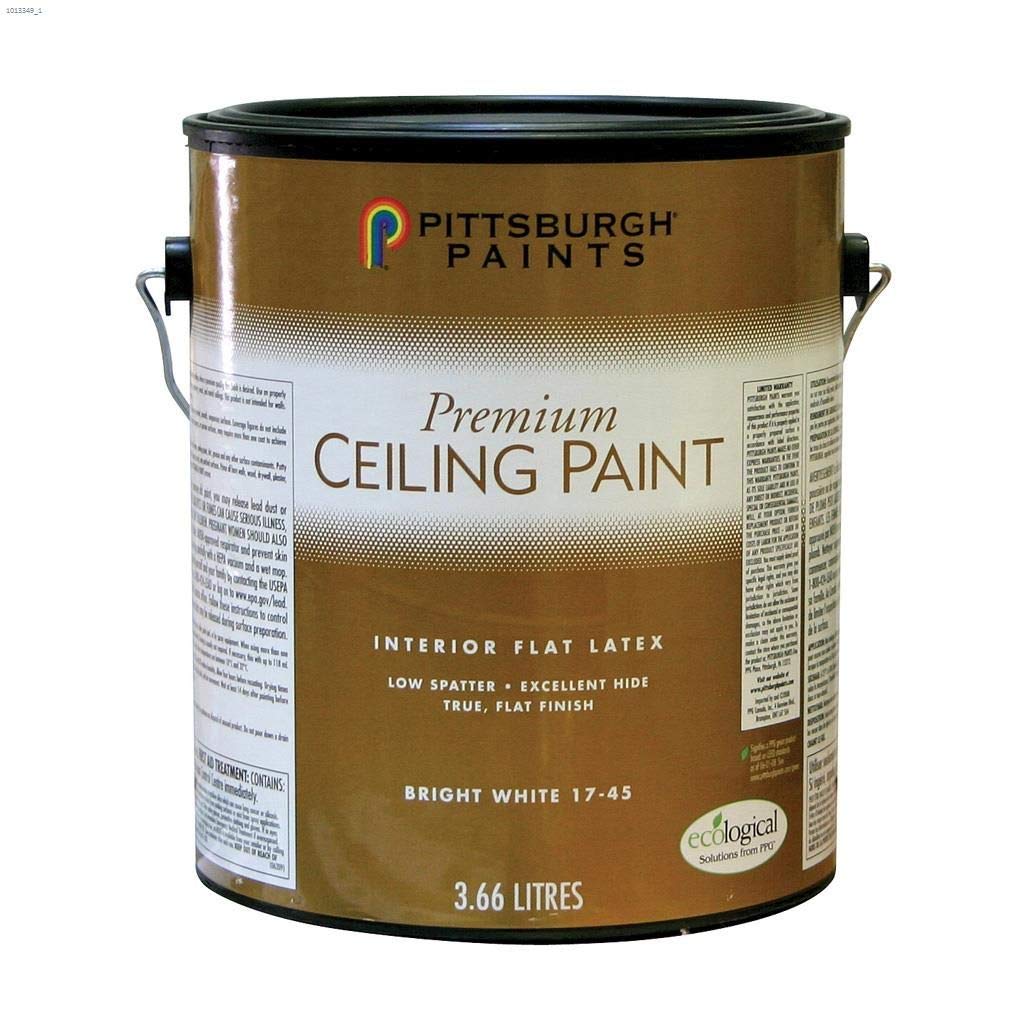 Ppg Premium Ceiling Paint White 1 Gallon 17 45 Amazon Co Uk Diy