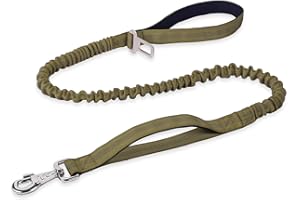 BUMBIN 6Ft Dog Leash - Large Dogs, Bungee Leash with 2 Handles, Heavy Duty, No Pull Shock Absorbing, Green