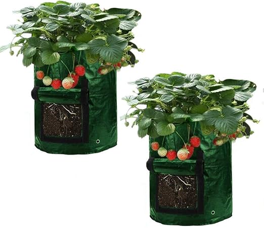 Asunflower Bolsa de cultivo para plantas de jardín de 10 galones ...