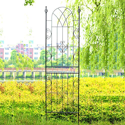 PLHMS Rankhilfe Metall Rankgitter 225x60cm, Groß Kletterhilfe Spalier, Rankgerüst, Rosen Gitterspalier, für… – Bild 5