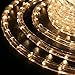 WYZworks 576LEDs, 50ft LED Warm White Rope Light, Connectable Outdoor Permanent Waterproof Accent Exterior Lighting, Flexible Clear PVC, ETL Certified, Holiday, Backyard Patio, Home, Décor