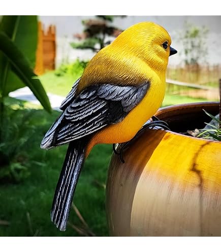 Garden Birds of the World 鳥　置物 Amazon.com: JARPSIRY Garden Bird Statue Flower Pot Hugger Outdoor