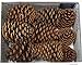 BESTTOYHOME 15 PCS Natural Pinecones Medium Pine Cones Ornaments Real Preserved Pine Cones - Dried -3