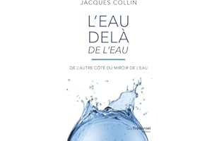 EAU DELÀ DE L'EAU (L')