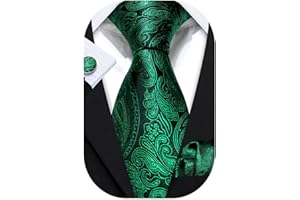 Barry.Wang Men Ties Silk Paisley Necktie Set Handkerchief Cufflinks Wedding Party