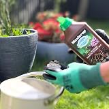 Maxicrop All Purpose Plant Growth Stimulant 1L Seaweed Based view 5