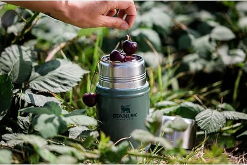 STANLEY Vacuum Insulated Large Food Jar, 18/8 Stainless Steel Food